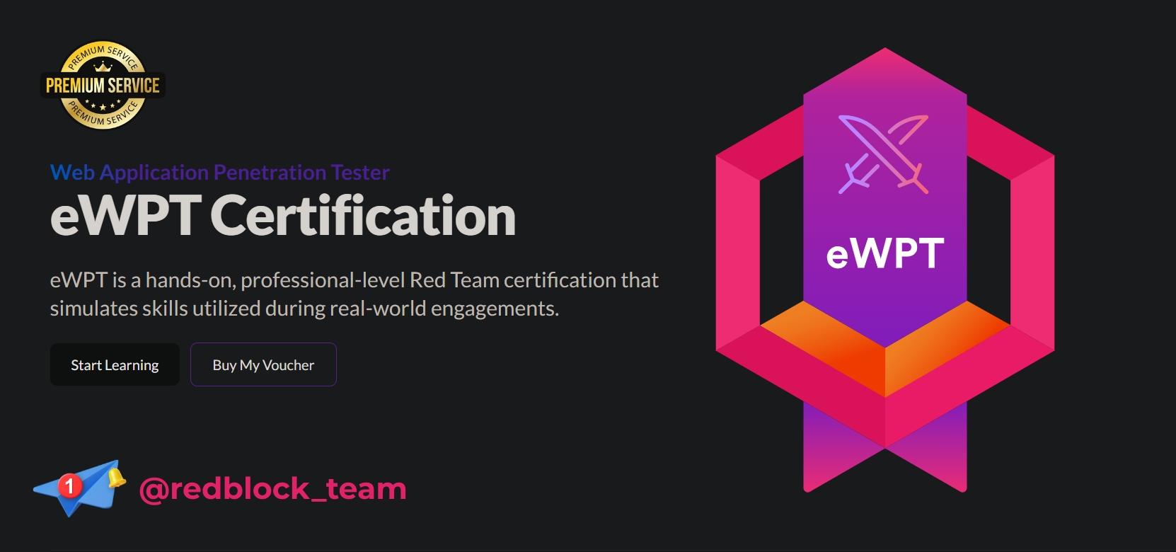Web Application Penetration Tester